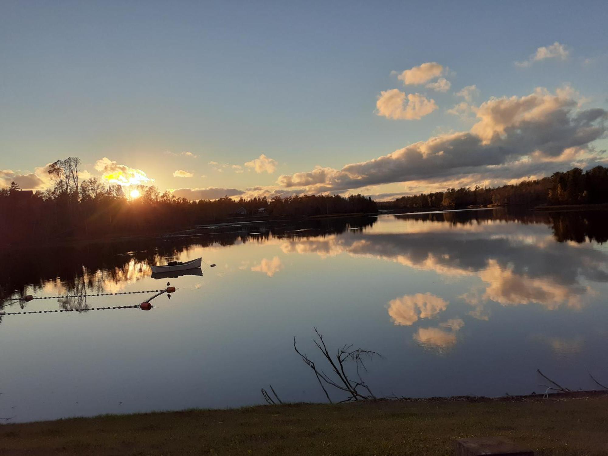 CardiganWaterside Apts.アパートメント エクステリア 写真